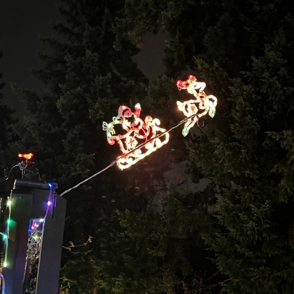 Festive Santa and Reindeer Light Display - Picture 3 of 5